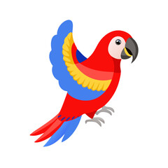Parrot: The Colorful Birds of the Tropics