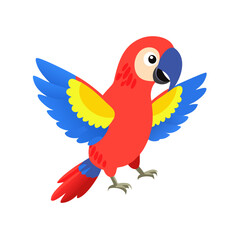 Parrot: The Colorful Birds of the Tropics