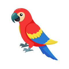 Parrot: The Colorful Birds of the Tropics