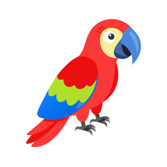 Parrot: The Colorful Birds of the Tropics