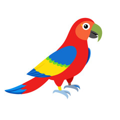 Parrot: The Colorful Birds of the Tropics