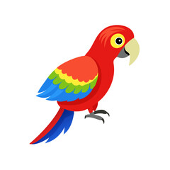 Parrot: The Colorful Birds of the Tropics