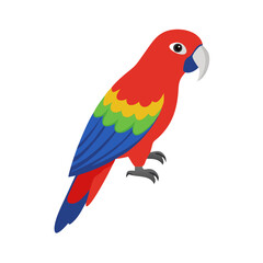 Parrot: The Colorful Birds of the Tropics