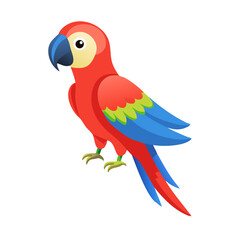 Parrot: The Colorful Birds of the Tropics