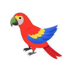 Parrot: The Colorful Birds of the Tropics