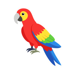 Parrot: The Colorful Birds of the Tropics