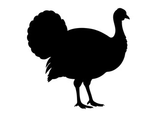 Fototapeta premium Turkey silhouette isolated on white background