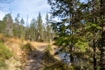 Beautiful high moor landscape in the central swiss alps, where a small stream meanders through the landscape. Glaubenberg, Switzerland.