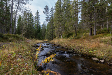 Obraz premium Beautiful high moor landscape in the central swiss alps, where a small stream meanders through the landscape. Glaubenberg, Switzerland.