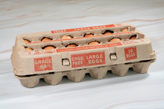Brown cage-free chicken eggs in carton, close up
