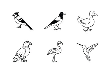 set of birds