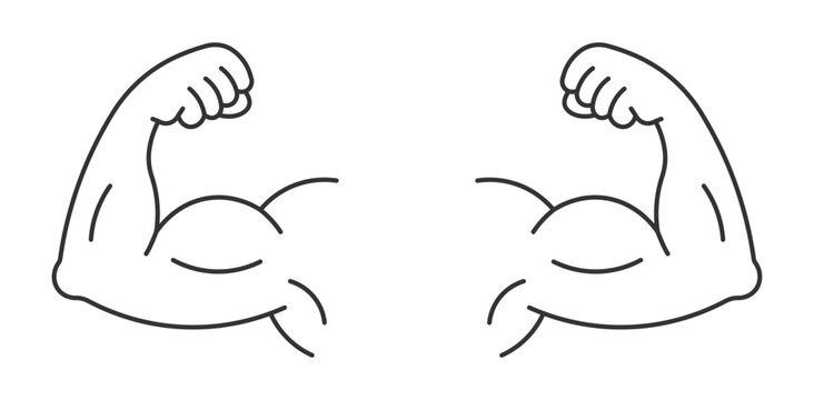 Strong muscular arms  outline vector icon , 
