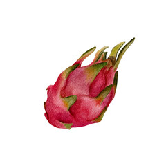 Fototapeta premium Watercolor illustration of cinnamon roll with icing on white background. Hand-painted sweet pastry, perfect for bakery designs, autumn food projects, cafe menus, and cozy kitchen prints.