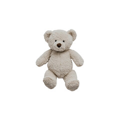 Obraz premium teddy bear isolated on white background