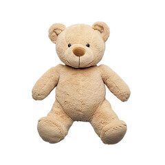 Obraz premium teddy bear isolated on white