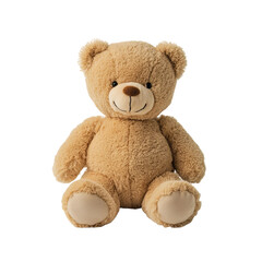 Obraz premium teddy bear on white background