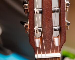 Acoustic Guitar Headstock Close-up