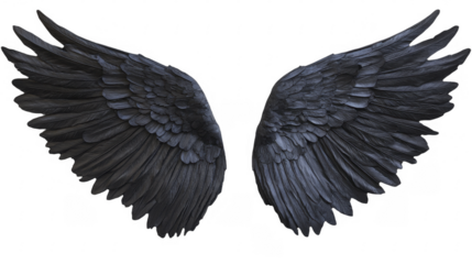 Detailed angel wings plumage displayed on a transparent background, PNG image, PNG file.