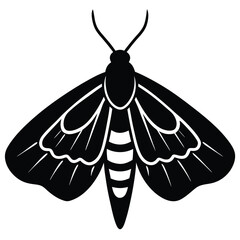 Moth Graphic Clean Design