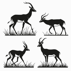 Naklejka premium Adobe Illustrator Artwork