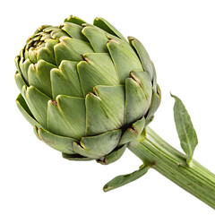 Obraz premium A whole artichoke isolated on a transparent background