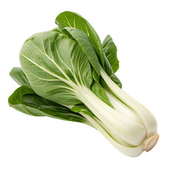A whole bok choy isolated on a transparent background