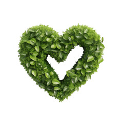 Heart shaped shrub on a black backdrop