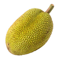 A whole jackfruit isolated on a transparent background