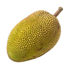 A whole jackfruit isolated on a transparent background