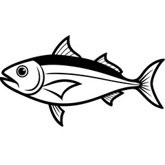 Detailed Illustration of an Amberjack a Saltwater Predatory Fish