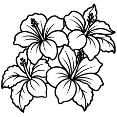 Various Hibiscus Flowers Hawaiian Tropical Floral Illustrations