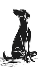 Silhouetted dog sitting, looking upwards.