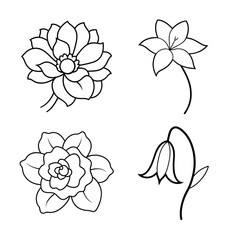 Fototapeta premium line art flower bundle design 