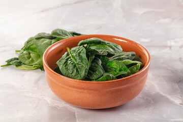 Raw green baby spinach plant