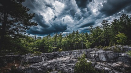 Long view of the forest park with dramatic cloudscape and layered stone towers