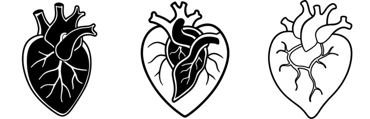 Obraz premium Vector anatomical heart icon set, detailed heart illustrations, medical and artistic design
