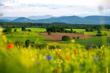 view on Kaczawskie mountains during summer evening in Lower Silesia region in Poland