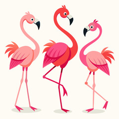 two flamingos vector