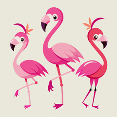 pink flamingo vector illustration