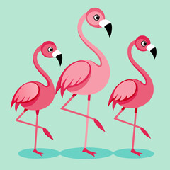 set of flamingos