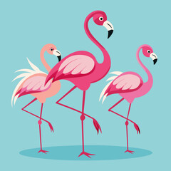 pink flamingo vector illustration