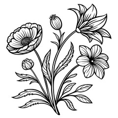 Hand Drawn Flowers Illustration Artistic Botanical Elements Design