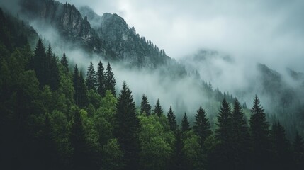 Mist clinging to jagged rock peaks in a moody, overcast forest atmosphere