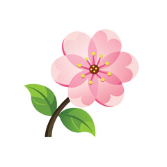 pink flower on white background