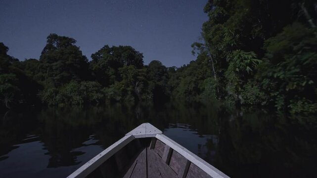 Navigation nocturne en barque au c&oelig;ur d'une jungle paisible