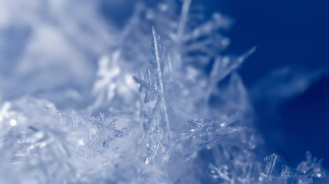Detailed Ice Crystals: A Mesmerizing Macro View of Frozen Water Formation