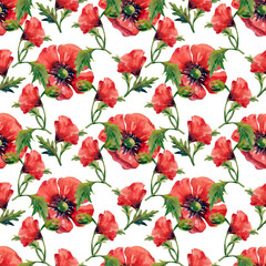 Large red poppy flowers, collection of watercolor flowers, seamless pattern on white background.