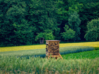 Hoch und Jägersitz am Waldrand
