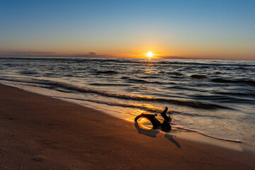 Scenic Beach Sunset with Driftwood