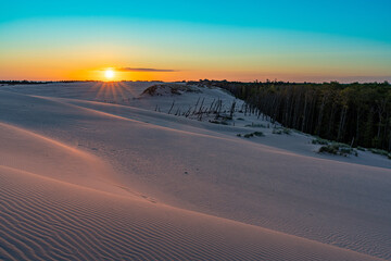 Sandy Wilderness at Sunset